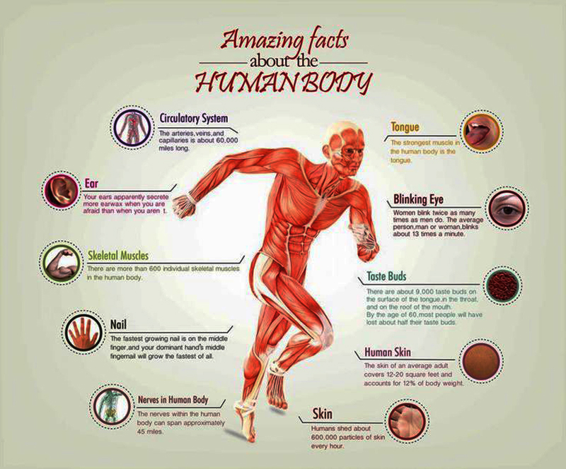 Health facts